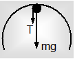 417_motion in a vertical circle.png